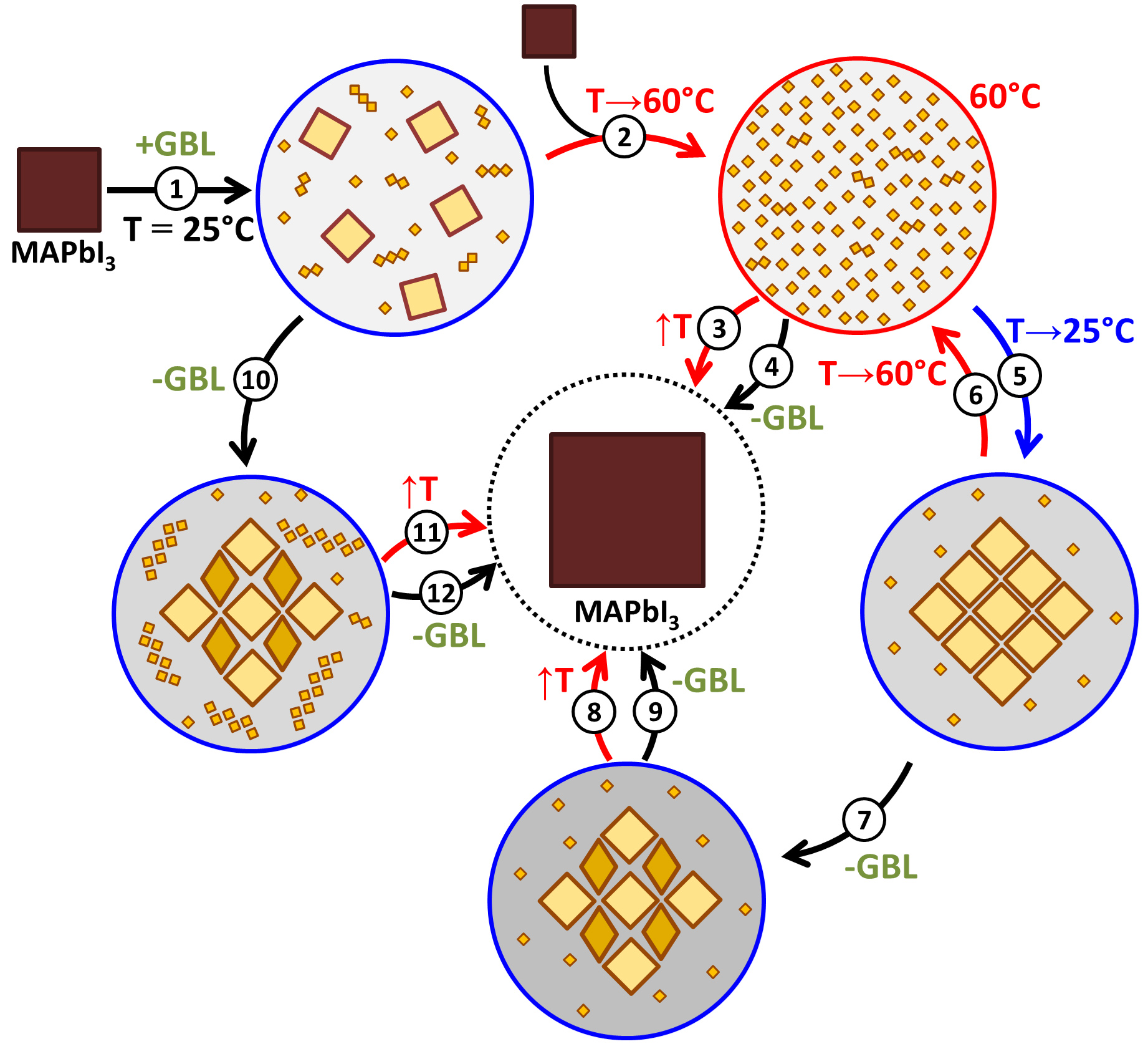 Solution processing of methylammonium lead iodide perovskite from gamma-butyrolactone: crystallization mediated by solvation equilibrium
