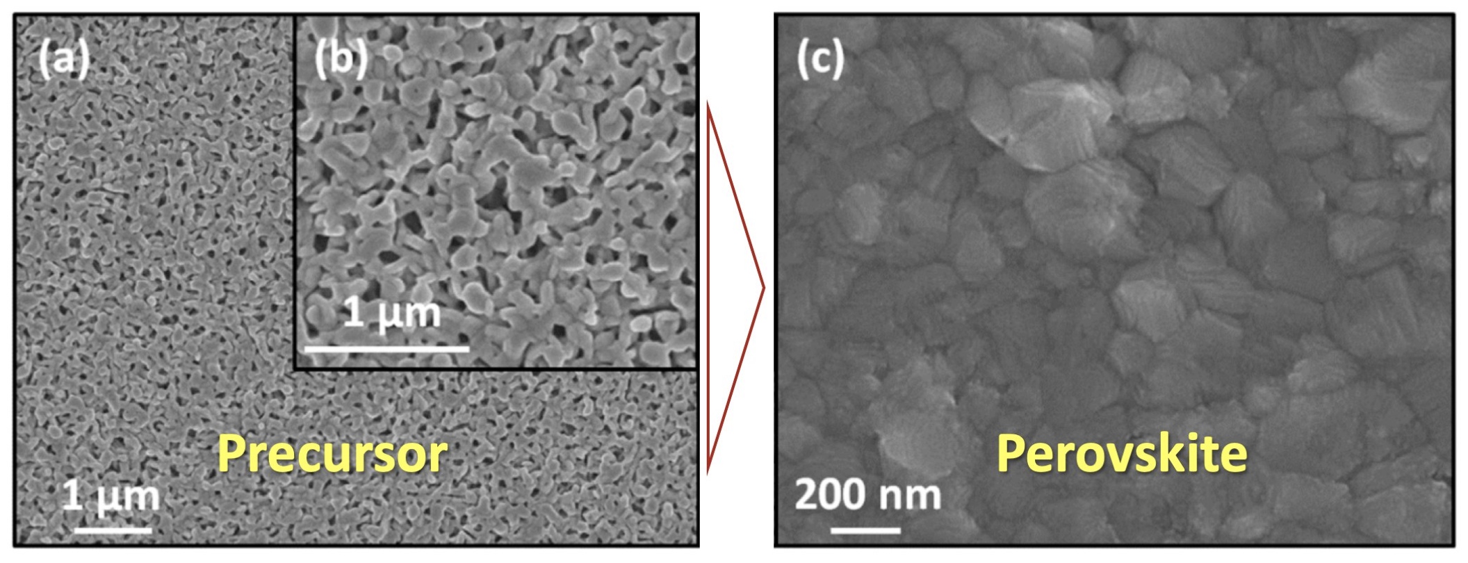 New Acidic Precursor and Acetone-Based Solvent for Fast Perovskite Processing via Proton-Exchange Reaction with Methylamine