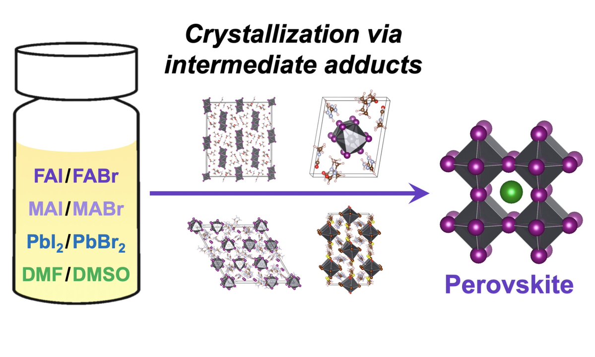 Formamidinium Haloplumbate Intermediates: The Missing Link in a Chain of Hybrid Perovskites Crystallization